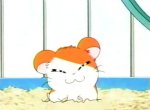 Hamtaro - image 5