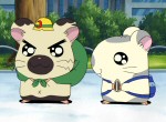 Hamtaro - image 8