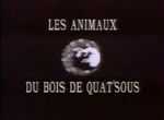 Les Animaux du Bois de Quat'sous - image 1