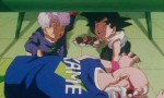 Dragon Ball Z - Film 13 : L'Attaque du Dragon - image 6