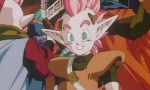 Dragon Ball Z - Film 13 : L'Attaque du Dragon - image 9