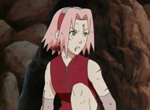 Naruto Shippûden - image 11