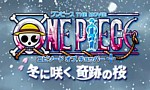 One Piece - Film 09 : Épisode de Chopper