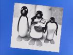 Pingu - image 20