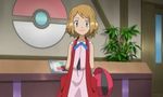 Pokémon XY - image 15