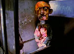 Le Dernier Cri - image 11