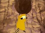 Araiguma Rascal - image 7
