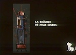 La Brûlure de mille soleils - image 1